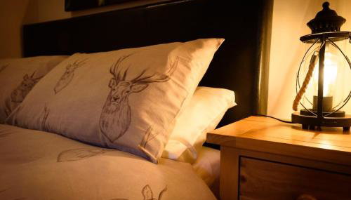 The Old Chemist - Photo 4