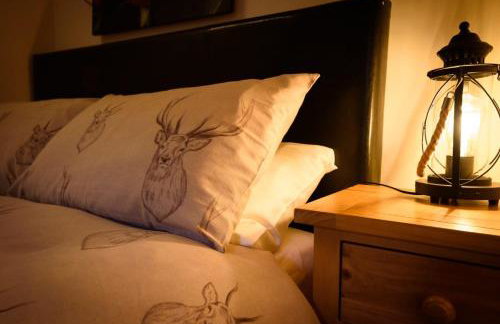 The Old Chemist - Foto 4