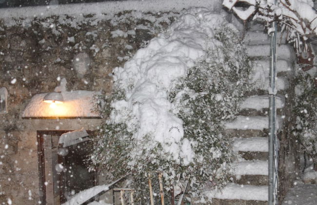 Le due Palme - Il Paradiso di Adamo - Photo 46