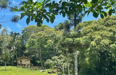 Chalé anjico - Foto 23