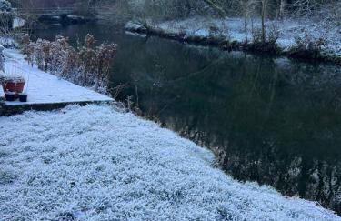 Heron's Rest - Photo 25