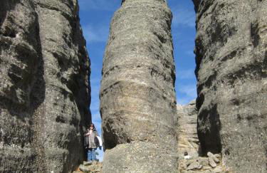 El nido del Mirlo - Foto 46