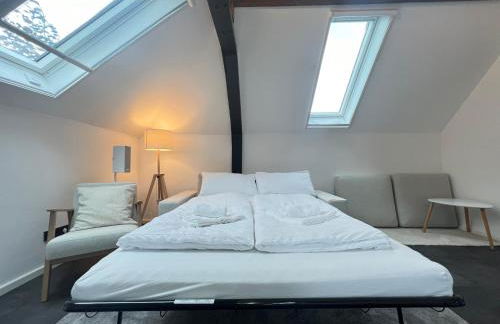 LudwigsHome - Zentrale Lage, Luxusbad, Workspace, Klima - Foto 8