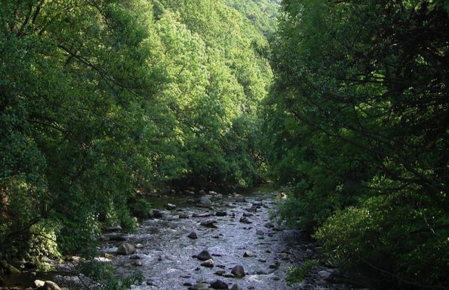 Family-friendly Timmenrode Stay - Foto 33