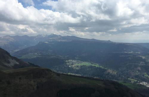 Perce-neige - Foto 19