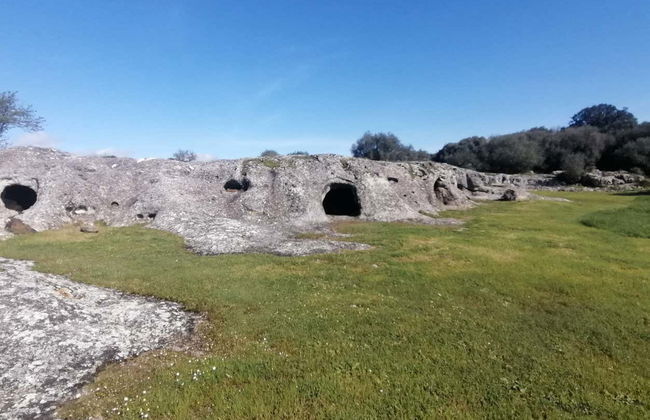 Excursion à la nécropole de Puttu Codinu et Nuraghe Appiu - Photo 2