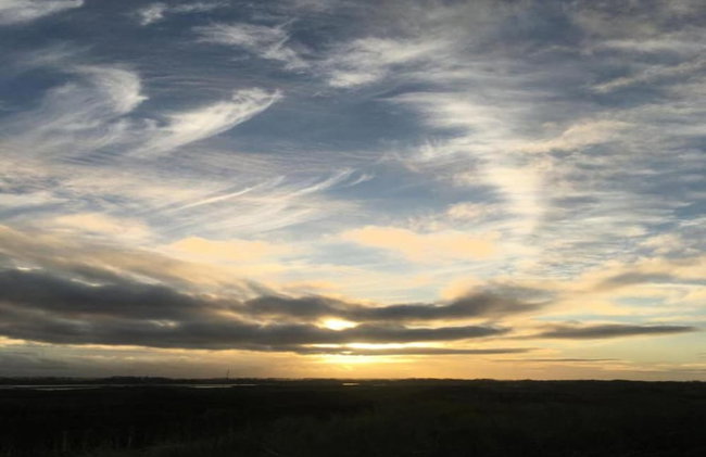 Breskens Haven: Relax, Explore & Dine - Photo 25