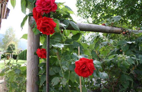 Appartements Schusterhof - Foto 32