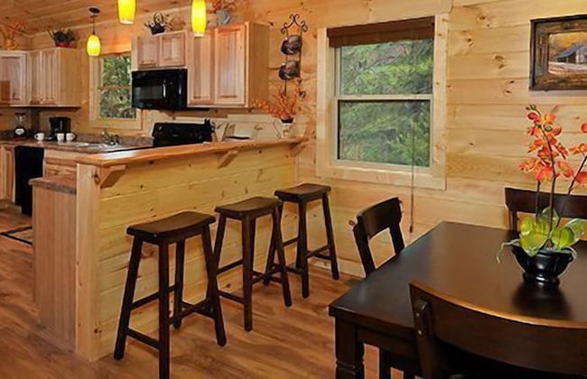 Dollywood Cabins - Foto 21