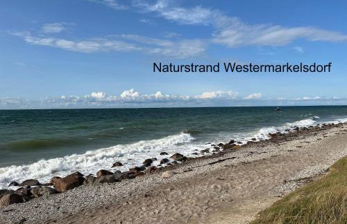 Ferienhaus Westermarkelsdorf - Photo 22