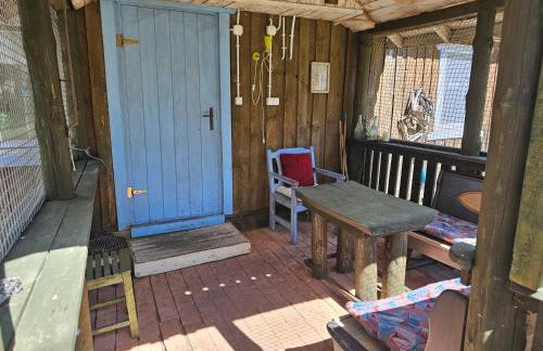 Dom Pod Brzozami Lipinki Bory Tucholskie basen - psy, koty mile widziane! - Photo 8