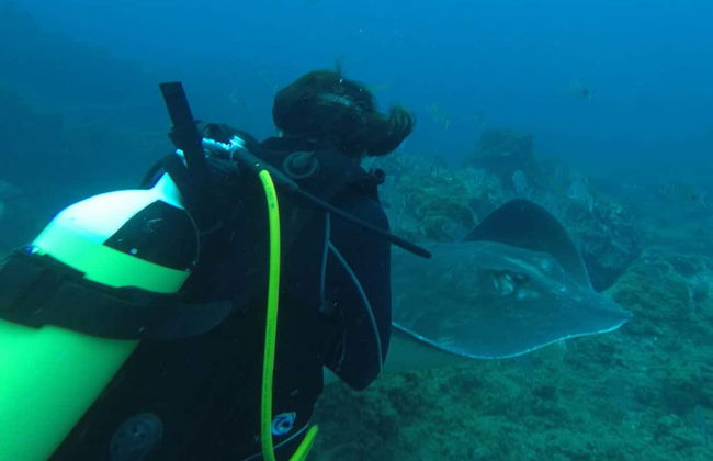 Immersione per principianti a Costa Adeje - Foto 5