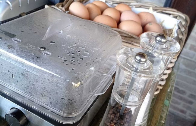 Terra di Gradara - Foto 48