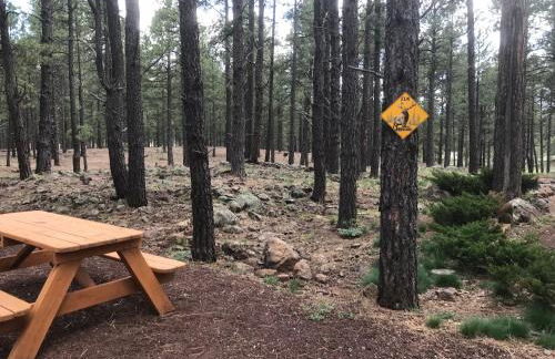 Grand Canyon Cottage at Historic Wrigley Ranch with Horseback Riding & Hiking - Foto 7