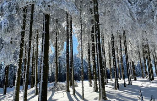 FeWo Gipfelglück - Foto 23