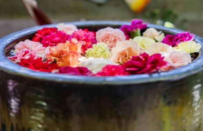 Buhwi Bira Byron Bay Studio - Central - Photo 17