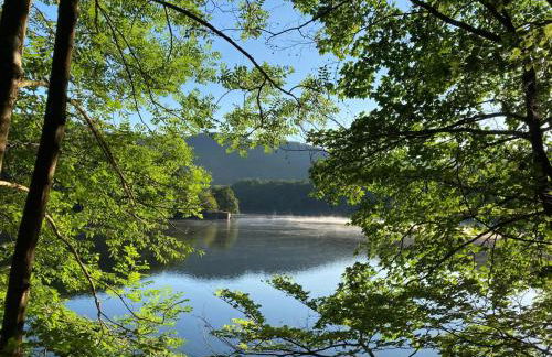 Urlaub in der Eifel am Rursee - Wita31 - Photo 17