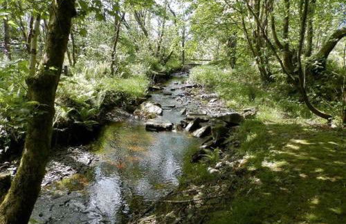 Converted Granary on a rural small holding - Photo 11