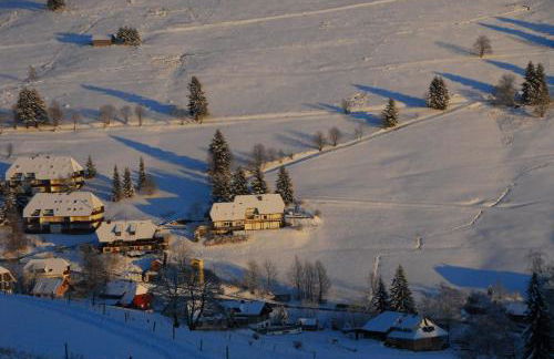 Drei Tannen - Foto 5