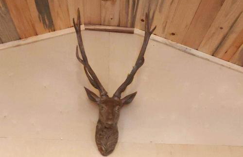 Summer Trail Cabin 5 - Sleeps up to 4 - Foto 14