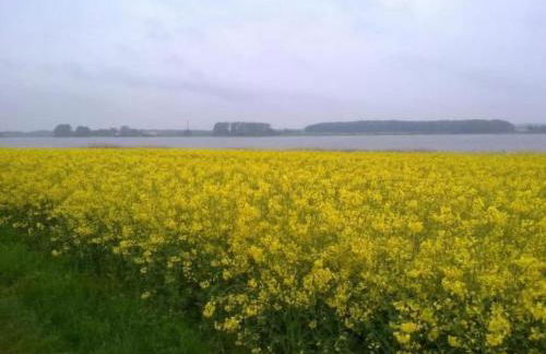 Holiday Home in Winnemark mit Großem Garten by Interhome - Foto 32