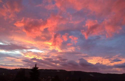 Wohlfühloase mit Blick auf Trier - Photo 45