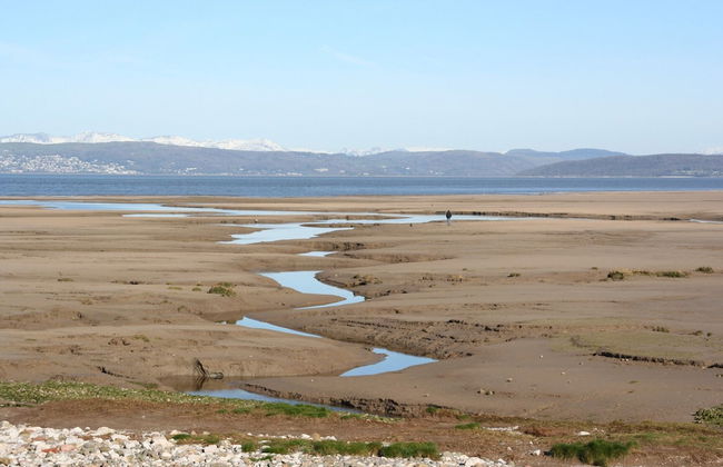 1 Lathom Avenue - Foto 47