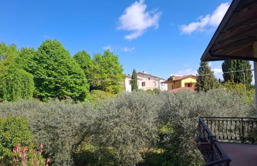 L'Olivo , in Tuscany - Photo 12