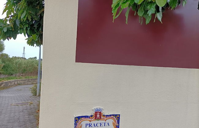 Sara & Dany - Foto 20