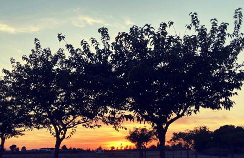 La Cobija Apartamentos - Solo Adultos - Foto 68