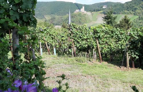 Ferienappartement Lieser - Foto 10