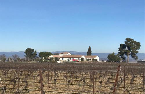 O’gîtes des colombes - Foto 8