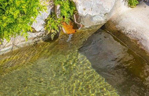 El Molinet del Governador- Apartamentos Rurales - Photo 42