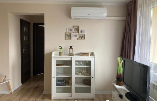 Apartament Mickiewicza - Foto 9