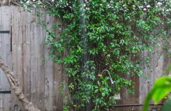 Charming 1-Bedroom Home near Downtown Culver - Photo 36