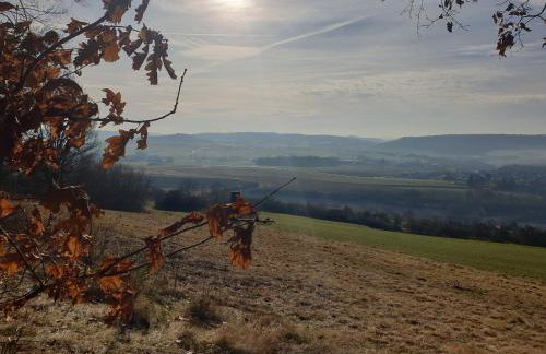 Exklusive Ferienwohnung Bad Salzschlirf - direkt am Waldrand - großer Garten kompett umzäunt - Hunde willkommen - 2 private Stellplätze - Foto 68