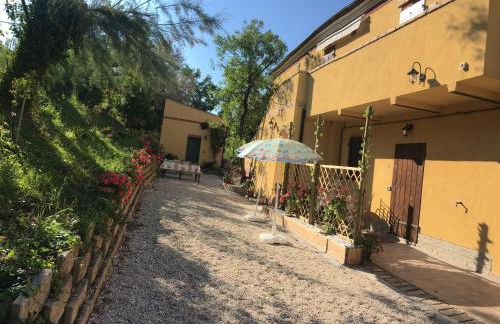 Agriturismo Fattoria del Colle - Foto 6