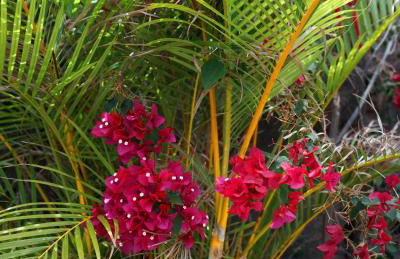 Finca Ecológica Quinta Los Tizones - Foto 63