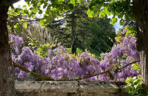 Le château La Villaine Magnifique château au cœur de la Touraine - Foto 12
