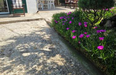 Apartment Bepo - Photo 14