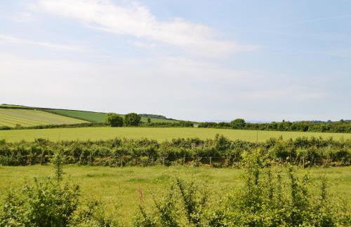 The Wool Shed - Foto 15