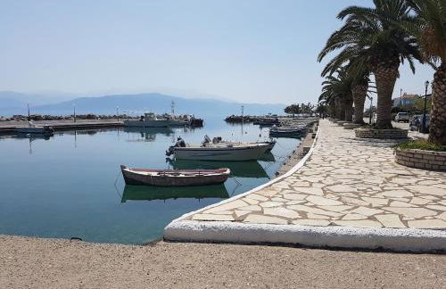 Nafpaktos PebBle Apartments in Marathias - Foto 11