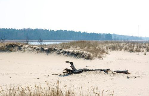 Dom Gościnny 2 Ogrodowa - Foto 28