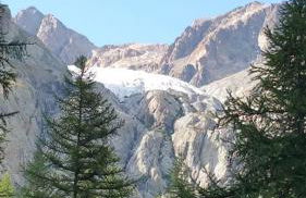 FORSYTHIA LE MAS DU PEYRON - Foto 30