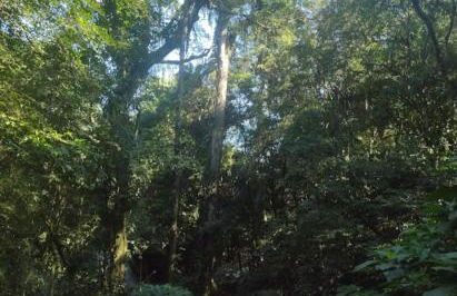 Chalé toque toque pequeno2 - Foto 7