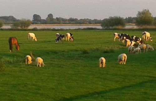 Best of Kollmar - Apartment mit Terrasse für 2 Personen absolut ruhig - Foto 7