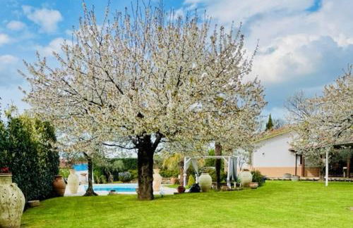 VILLA "Casa al Chiazzullo" - Foto 16