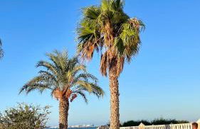 El secreto de cristal - Foto 36