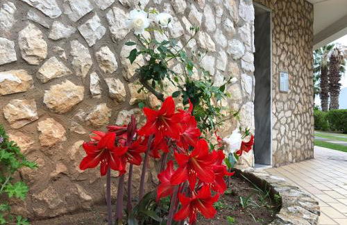 Apartment Vila Rosa Caledonia - Foto 54