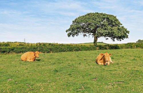 2 Bed in Liskeard oc-trero - Foto 15